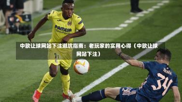  中欧让球网站下注避坑指南：老玩家的实用心得（中欧让球网站下注）