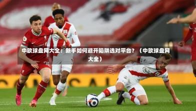 中欧球盘网大全:新手如何避开陷阱选对平台?(中欧球盘网大全)-第1张图片