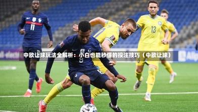  中欧让球玩法全解析：小白也能秒懂的投注技巧（中欧让球）