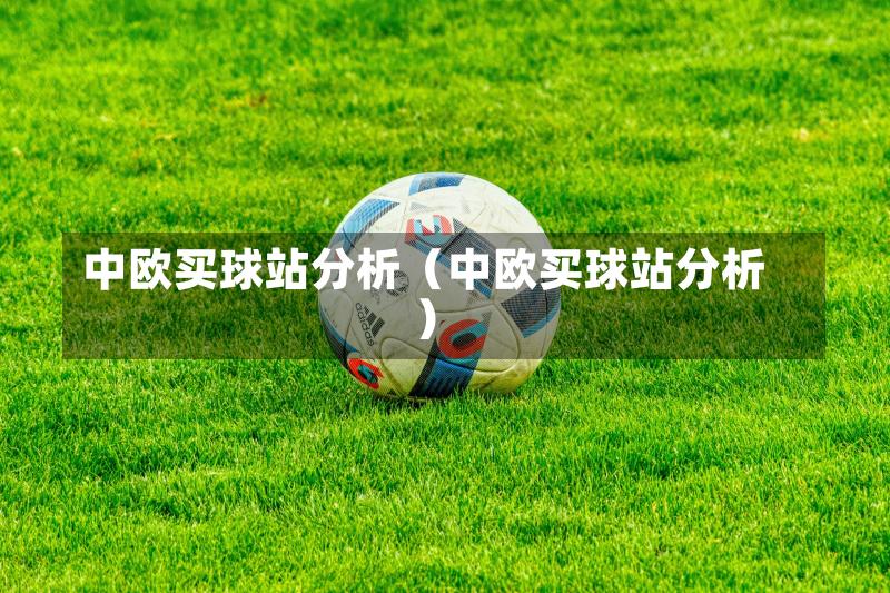 中欧买球站分析（中欧买球站分析）